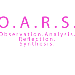 O.A.R.S. logo
